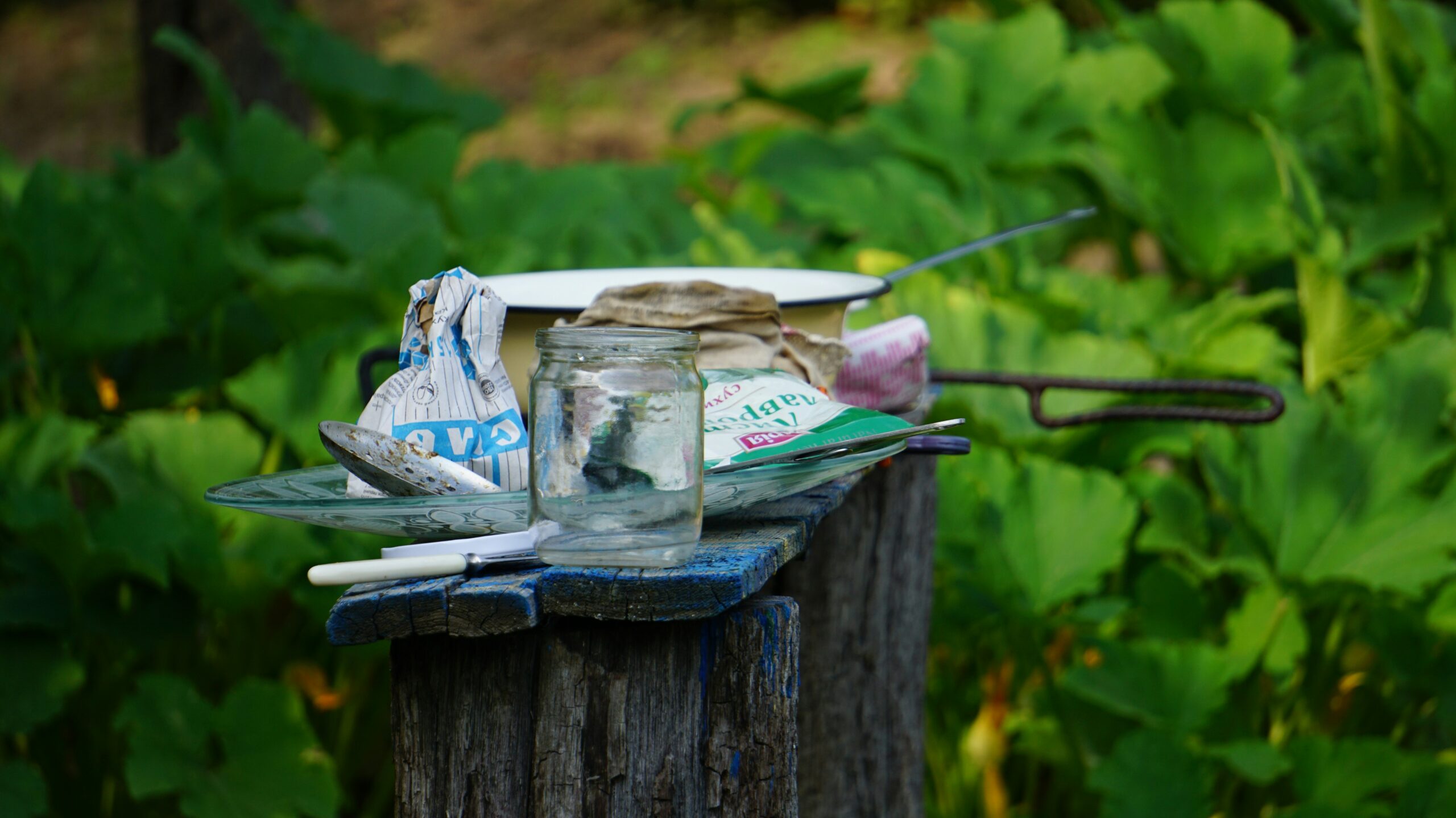 dmytro-glazunov-MQEkWaQohxo-unsplash