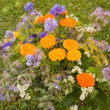 4172_mehilaissekoitus